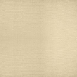 Εικόνα της ΥΦΑΣΜΑ RENAS 1403 V-196 300CM