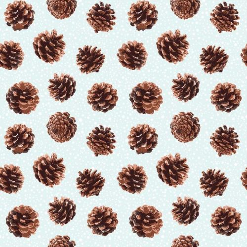 Εικόνα της ΥΦΑΣΜΑ PINASNOW 280 CM C-701 (LONETA) EDP