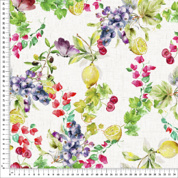 Εικόνα της ΥΦΑΣΜΑ DAMIRA 280CM C-101 (LONETA) EDP